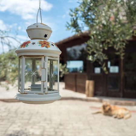 Villa De Luccheri Frasso Telesino 외부 사진