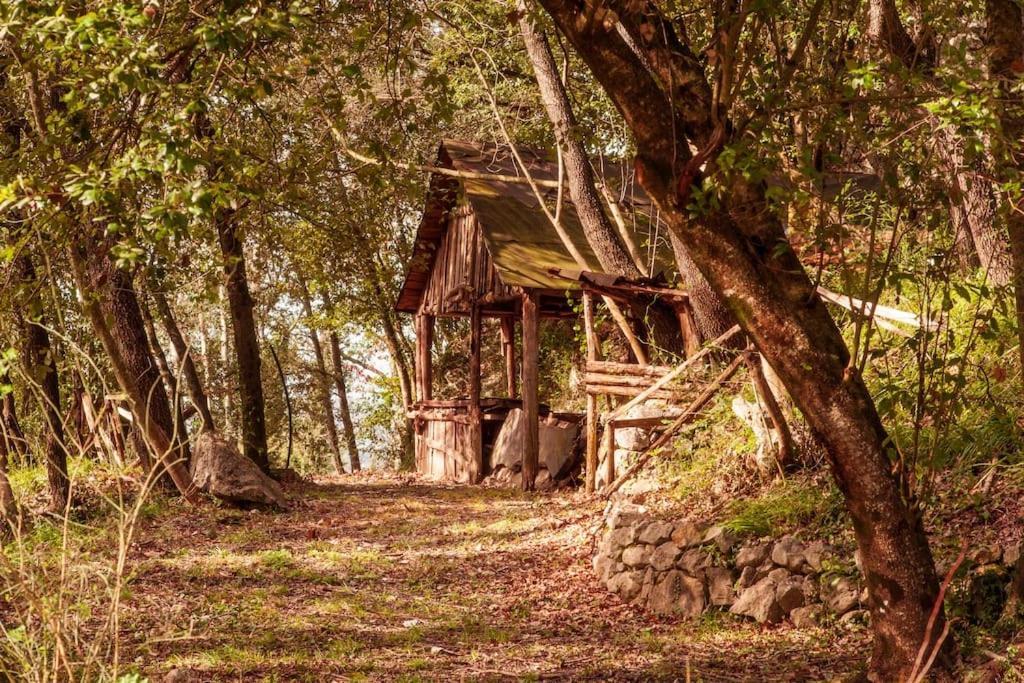 Villa De Luccheri Frasso Telesino 외부 사진
