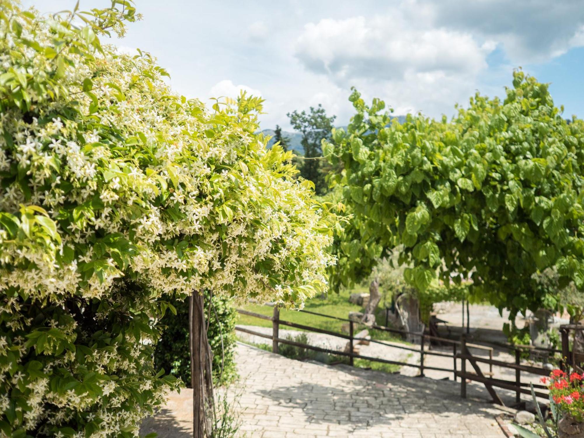 Villa De Luccheri Frasso Telesino 외부 사진